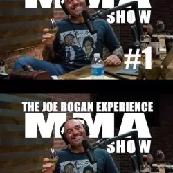 The Joe Rogan Experience: MMA Show