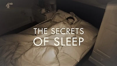 The Secrets Of Sleep