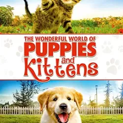 The Wonderful World of Puppies and Kittens