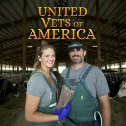 United Vets of America