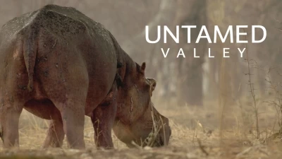 Untamed Valley