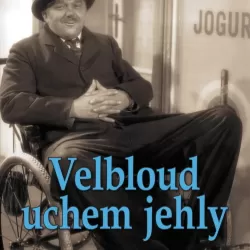 Velbloud uchem jehly