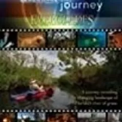 Water's Journey -- Everglades