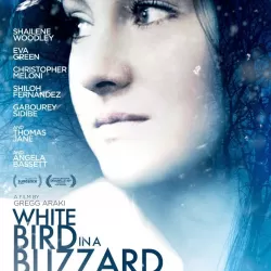 White Bird in a Blizzard