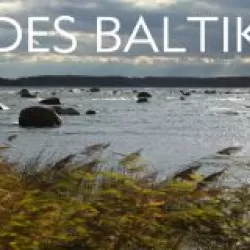 Wildes Baltikum