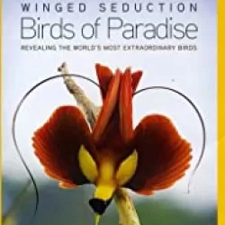 Winged Seduction: Birds of Paradise