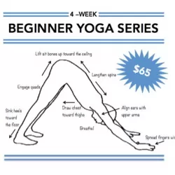 Yoga for Beginners